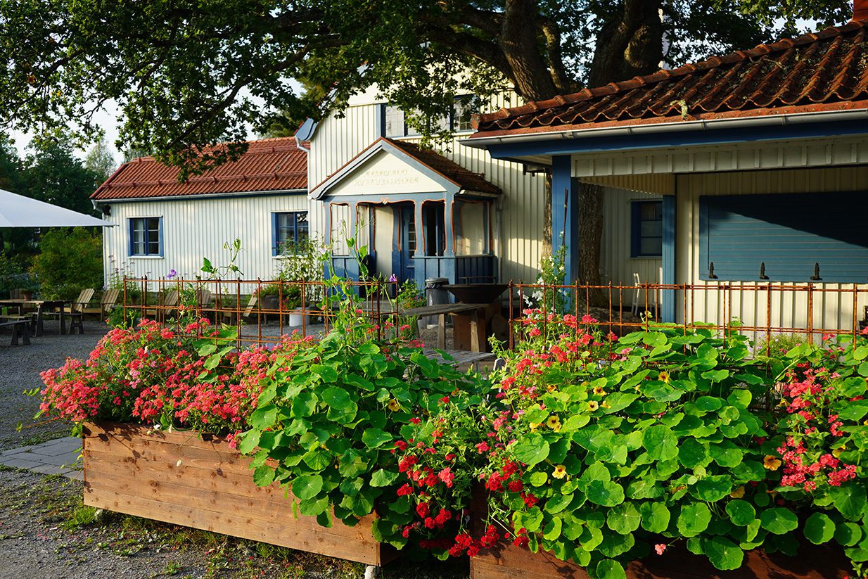 Marholmen sommarkrog1